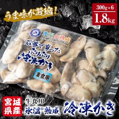 氷温熟成かき 生食用 冷凍 300g 6パック お礼品詳細 ふるさと納税なら さとふる