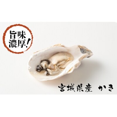 氷温熟成かき 生食用 冷凍 300g 6パック お礼品詳細 ふるさと納税なら さとふる
