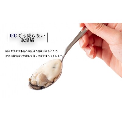 氷温熟成かき 生食用 冷凍 300g 6パック お礼品詳細 ふるさと納税なら さとふる
