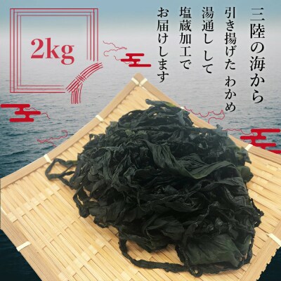 三陸産 湯通し 塩蔵わかめ 2kg(250g×8)小分け | ふるさと納税のお礼品