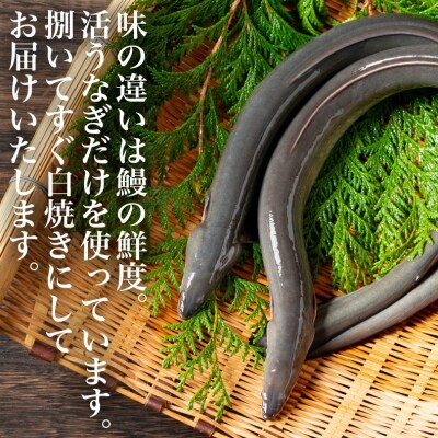 鰻 国産うなぎ 3人前 白焼きセット(約110g×3串)タレ付き 冷蔵  土用丑の日 蒲焼 鰻重