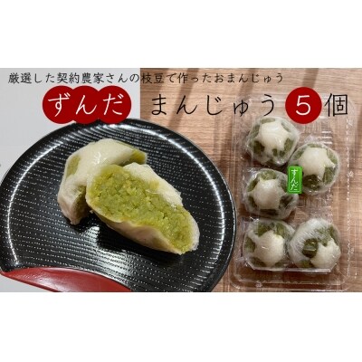 宮城県名産「ずんだ」菓子 食べ比べ 5種セット スイーツ 詰め合わせ 餅 饅頭 茶巾 ブッセ 和菓子