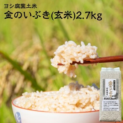 米 令和7年産 玄米 宮城県産 ヨシ腐葉土米 金のいぶき 2.7kg(900g×3) 真空 小分け