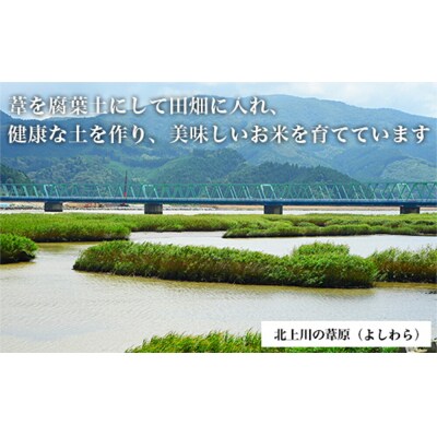 米 令和7年産 玄米 宮城県産 ヨシ腐葉土米 金のいぶき 2.7kg(900g×3) 真空 小分け