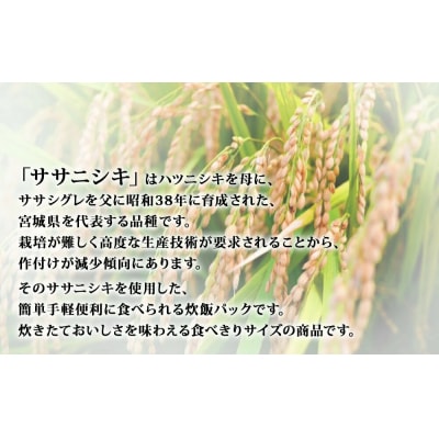 ご飯パック 宮城県産 ササニシキ 180g×24個 パックライス パックごはん ごはん パック 宮城