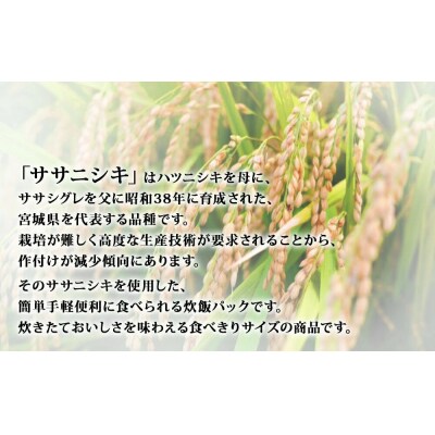ご飯パック 宮城県産 ササニシキ 180g×24個 パックライス パックごはん ごはん パック 宮城