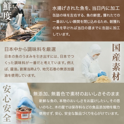いわし缶詰 食べ比べ セット 2種8缶 木の屋 水煮 醤油味付 国産 真いわし 宮城県石巻市 常温