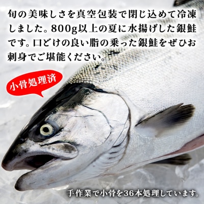 宮城県 みやぎ サーモン(小骨処理済) 半身 800g以上 冷凍 刺身 生食 銀鮭 骨取り フィレ