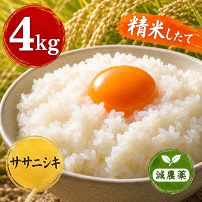 令和8年産 ヨシ腐葉土米 ササニシキ 精米4kg