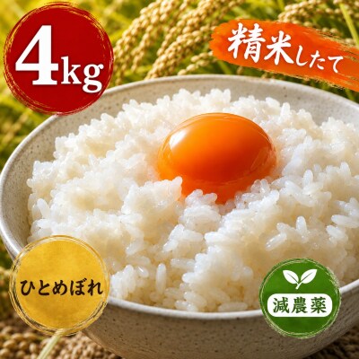 令和8年産 ヨシ腐葉土米 ひとめぼれ 精米4kg