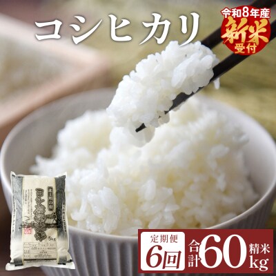 令和8年産 定期便 精米 60kg (10kg×6回発送) コシヒカリ 新米