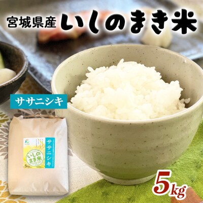 米 令和7年産 ササニシキ 精米 5kg いしのまき米 白米 お米 ごはん 米5キロ いしのまき産米