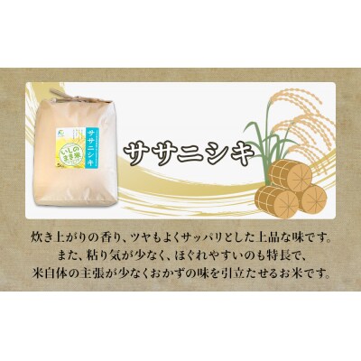 米 令和7年産 ササニシキ 精米 5kg いしのまき米 白米 お米 ごはん 米5キロ いしのまき産米
