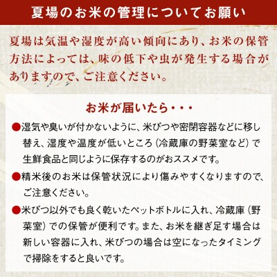 米 令和7年産 ササニシキ 精米 5kg いしのまき米 白米 お米 ごはん 米5キロ いしのまき産米