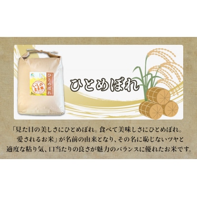 宮城県いしのまき産米「令和7年産ひとめぼれ」(精米)5kg いしのまき米 白米 お米 ごはん 米