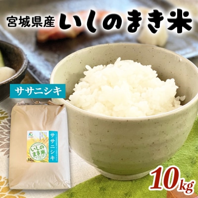 宮城県 いしのまき産米「ササニシキ」(精米)10kg 石巻市 いしのまき米 白米 お米 ごはん 米