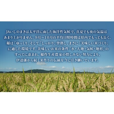 宮城県 いしのまき産米「ササニシキ」(精米)10kg 石巻市 いしのまき米 白米 お米 ごはん 米