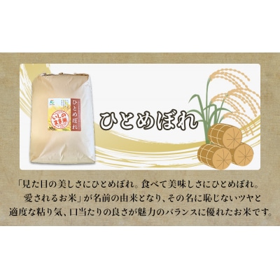 宮城県いしのまき産米「令和7年産ひとめぼれ」(精米)10kg 石巻市 いしのまき米 白米 ごはん