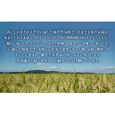 宮城県いしのまき産米「令和7年産ひとめぼれ」(精米)10kg 石巻市 いしのまき米 白米 ごはん