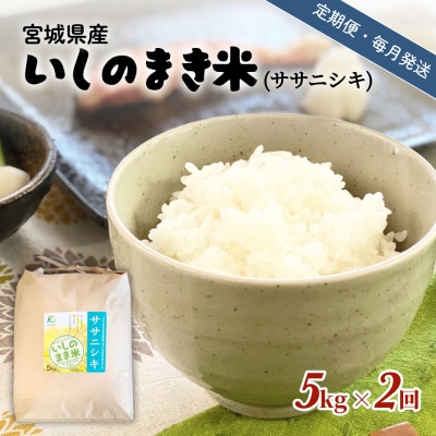 米 定期便 【定期便2回・毎月発送】宮城県いしのまき産米「ササニシキ」5kg×2回(精米) 石巻市