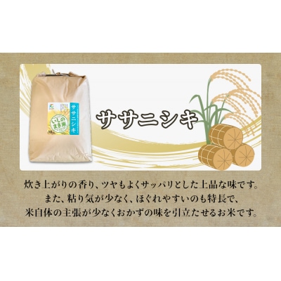 【定期便5回・毎月発送】宮城県いしのまき産米「ササニシキ」10kg×5回(精米) 石巻市 お米 米
