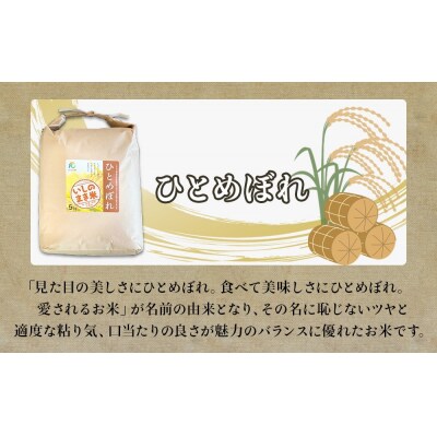 米 定期便 【定期便2回・毎月発送】宮城県いしのまき産米「ひとめぼれ」10kg×2回(精米) お米