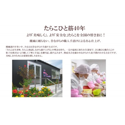 無着色たらこ80g×10個セット