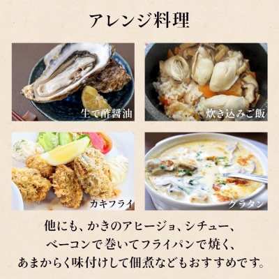 牡蠣 宮城県産 ぷりぷり 生牡蠣 むき身 750g 生食用 カキ 冷蔵 生カキ 小分け