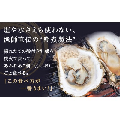 牡蠣 宮城県産 牡蠣の潮煮 130g 10個セット 冷凍 宮城 石巻 カキ かき レトルト 惣菜