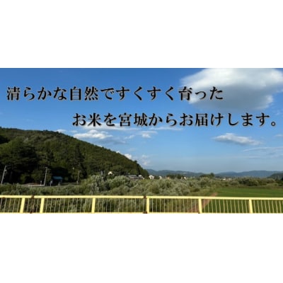 米 つや姫 令和7年産 精米 5kg 新米 宮城県産 石巻市 こめ コメ お米 ツヤ姫 ご飯