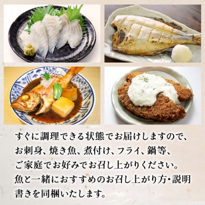山神丸の獲れたて直送! 石巻の鮮魚(4～5種) 詰め合わせ2～3kg(小)