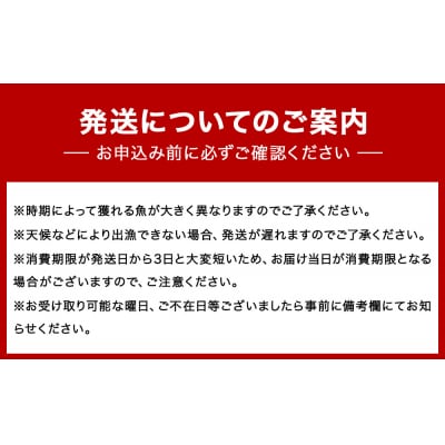 山神丸の獲れたて直送! 石巻の鮮魚(4～5種) 詰め合わせ2～3kg(小)
