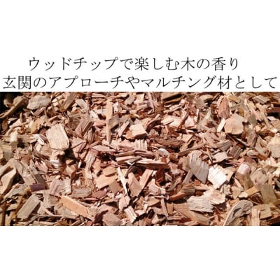 石巻 皮付ウッドチップ 約100L 木チップ マルチング材 雑草対策 DIY ガーデニング 杉 檜