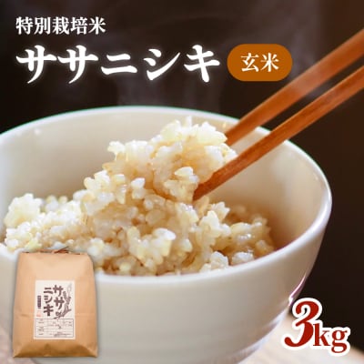 令和7年産 特別栽培米 ササニシキ 玄米 3kg
