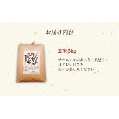 令和7年産 特別栽培米 ササニシキ 玄米 5kg 米 ご飯 家庭用 5キロ 宮城県産 石巻 主食