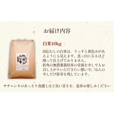特別栽培米 ササニシキ 白米 10kg