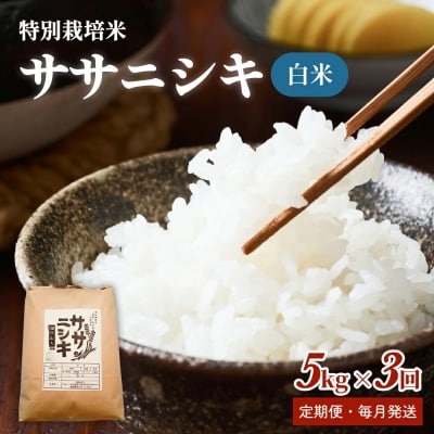 特別栽培米 ササニシキ 白米15kg【毎月5kg 全3回】