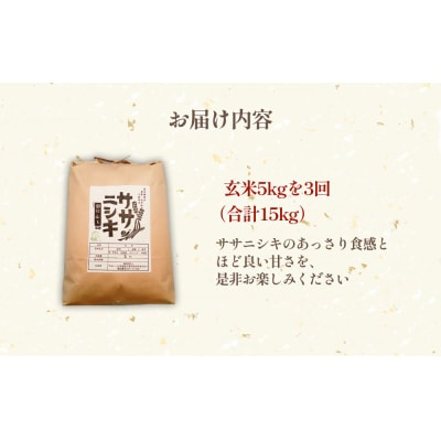 米 定期便 特別栽培米 ササニシキ 玄米15kg【毎月5kg 全3回】 宮城県 石巻市