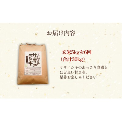 米 定期便 特別栽培米 ササニシキ 玄米30kg【毎月5kg 全6回】 宮城県 石巻市