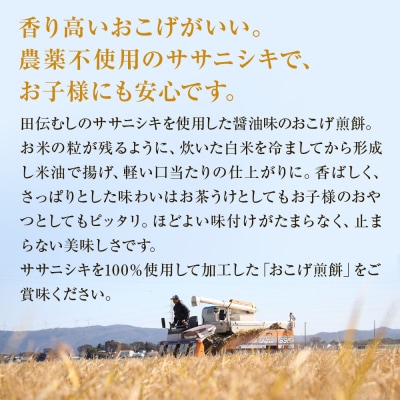 宮城県産 ササニシキ100%使用 おこげ煎餅 80g×12個 小分け