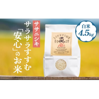 【 先行受付 】ササニシキ 白米 4.5kg 新米 米 お米 化学肥料不使用 コメ こめ ささにしき
