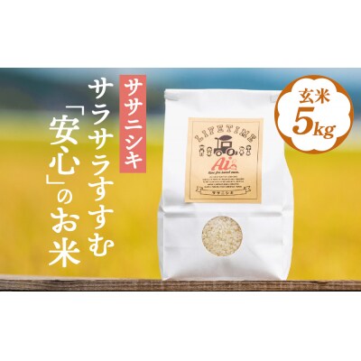 【 先行受付 】ササニシキ 玄米 5kg 新米 米 化学肥料不使用 お米 コメ こめ