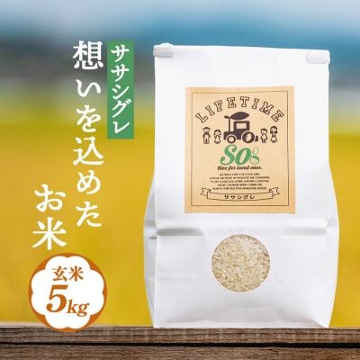 【 先行受付 】ササシグレ 玄米 5kg 新米 米 お米 節減対象農薬不使用 化学肥料不使用 コメ 