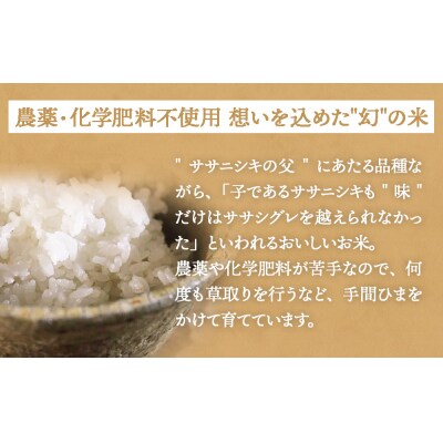 米 ササシグレ 玄米 20kg 農薬不使用 化学肥料不使用 ささしぐれ お米 コメ こめ ご飯