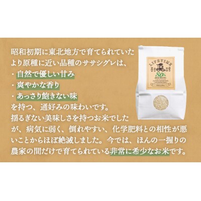 ササシグレ 白米 4.5kg ササニシキ 白米 4.5kg 食べ比べ ささしぐれ ささにしき お米 