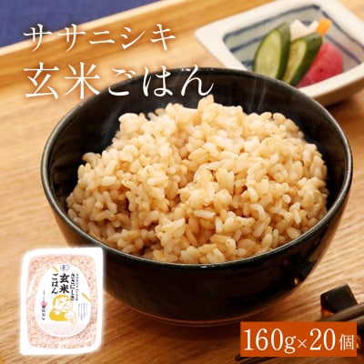 ご飯 パック 玄米 有機 ササニシキ ごはん 160g × 20個 レトルト パックご飯 宮城県産
