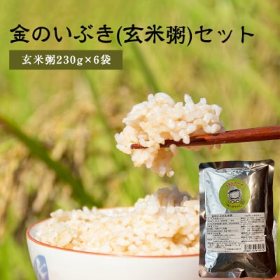 金のいぶき(玄米粥)セット 230g × 6パック ヨシ腐葉土 宮城県 石巻市 げんまい お粥 常温