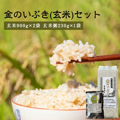金のいぶき(玄米・粥)セット ヨシ腐葉土 宮城県 石巻市 げんまい 玄米粥 常温保存 お米 ごはん