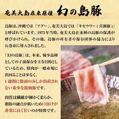 仙台牛・島豚ロースセット A5ランク すき焼き 贈答 ギフト 宮城県 石巻市