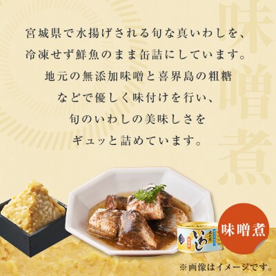 イワシ 缶詰 いわし缶詰3種(醤油味付、味噌煮、水煮)食べ比べ 24缶セット 缶つま 石巻市 常温 